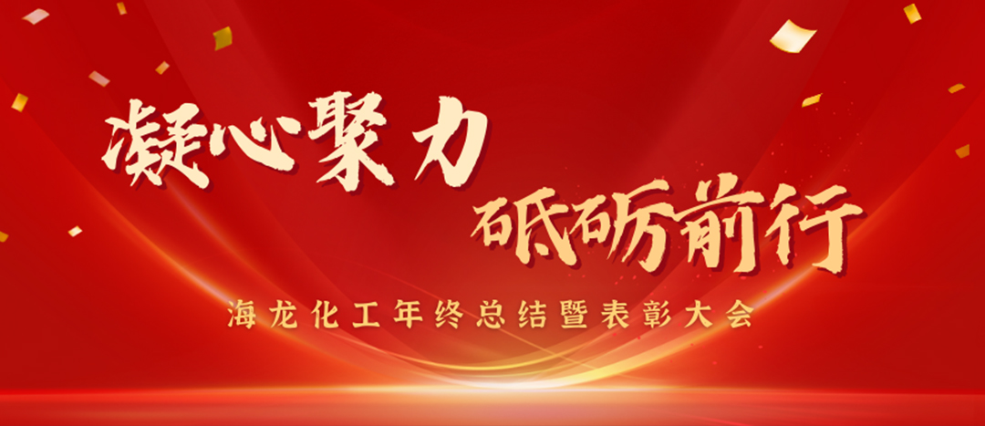 表彰 | 凝心聚力，砥礪前行，海龍化工年終總結(jié)暨表彰大會圓滿舉行