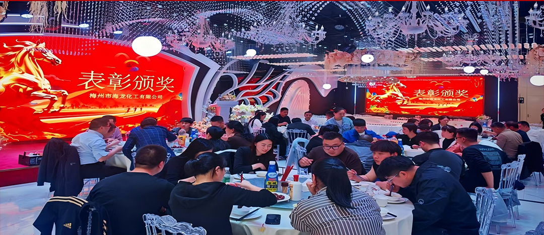 騏驥開道，奮進(jìn)新篇 | 海龍化工2025年終工作總結(jié)表彰暨團(tuán)年晚宴圓滿落幕